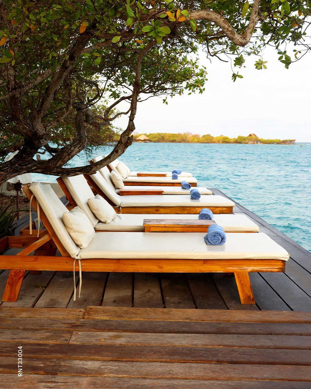 Coralina Island