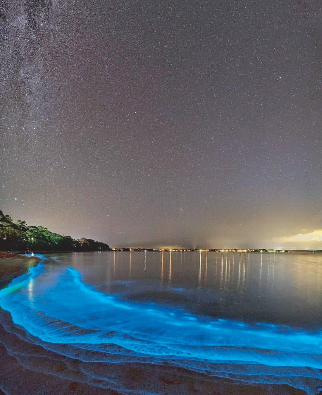 Plancton Bioluminiscente en Barú