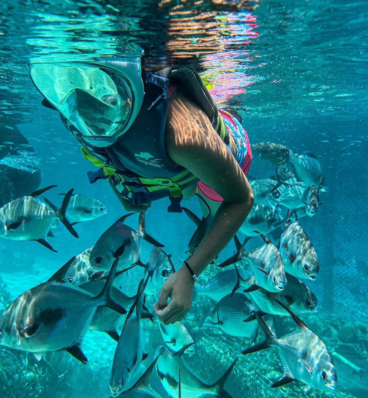 Playa Blanca e Islas del Rosario & Oceanario