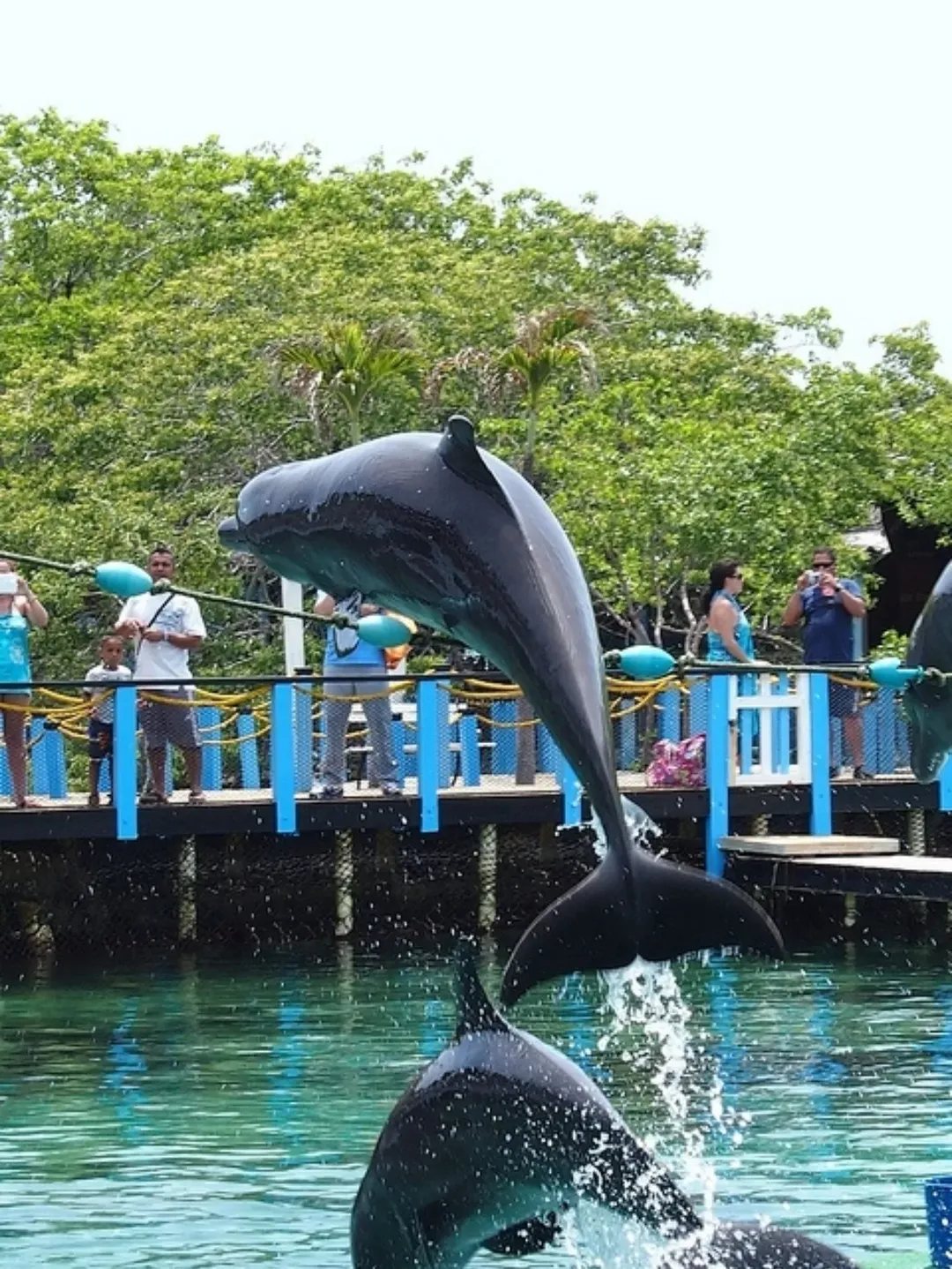 Playa Blanca e Islas del Rosario & Oceanario - foto 6
