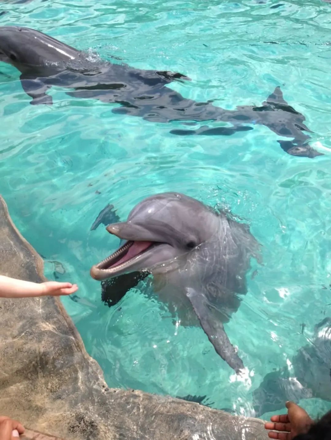 Playa Blanca e Islas del Rosario & Oceanario - foto 7
