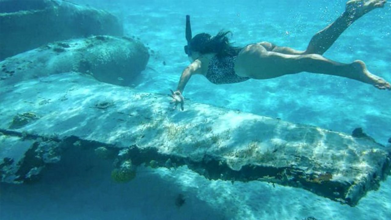 Playa Blanca e Islas del Rosario & Oceanario - foto 8