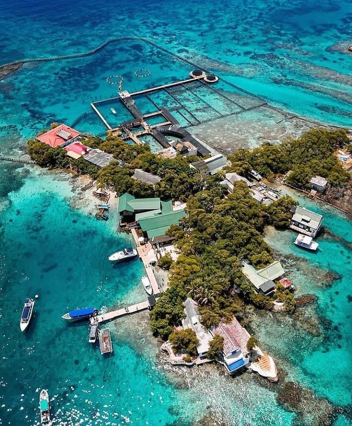 Playa Blanca e Islas del Rosario & Oceanario - foto 10