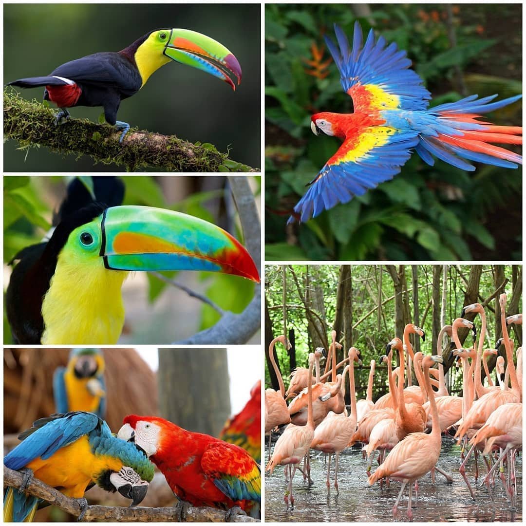Tour Aves con Encanto - foto 2