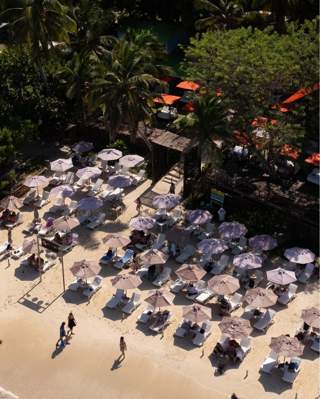 Luxury Beach - foto 6