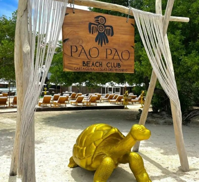 Pao-Pao - foto 6