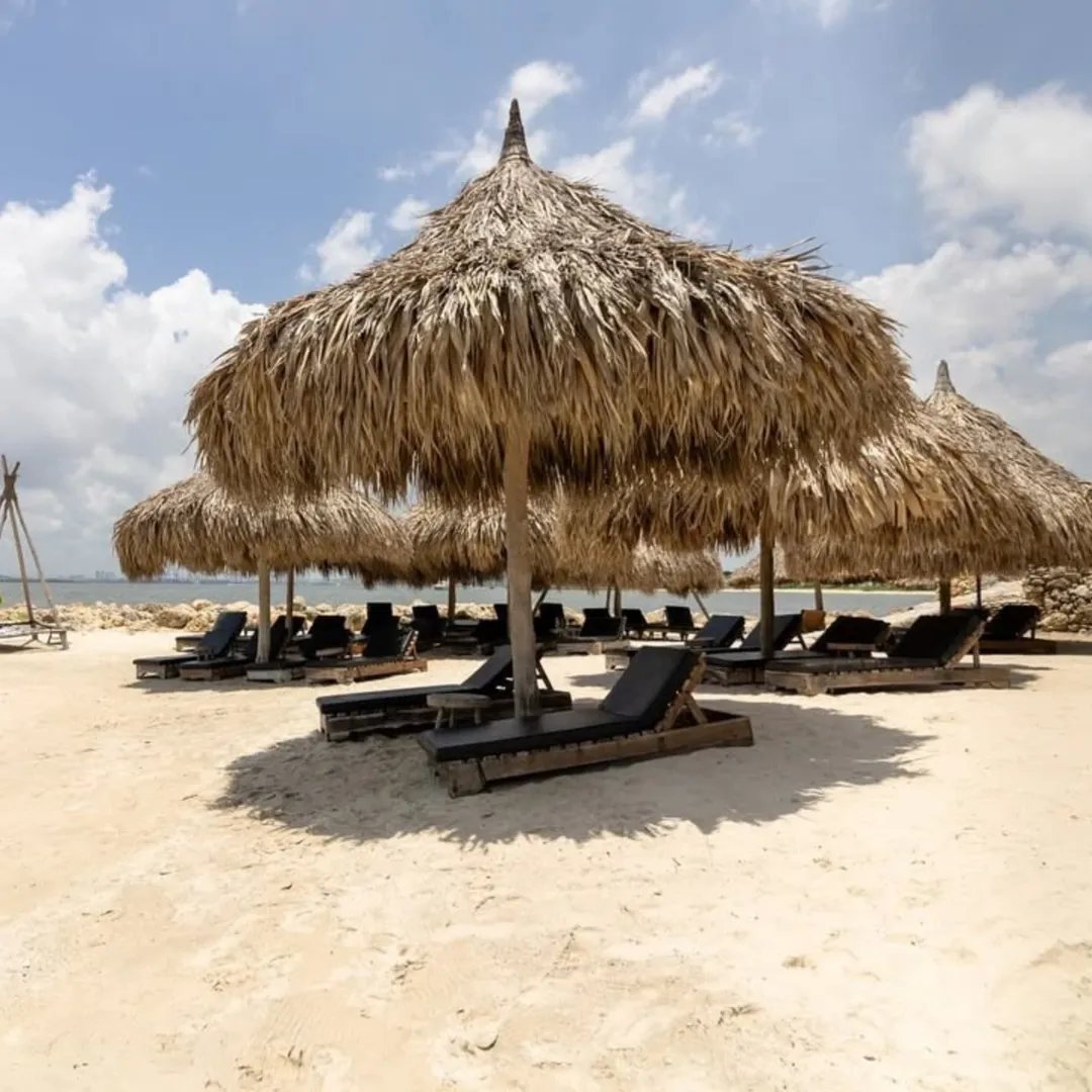 Eteka - foto 5